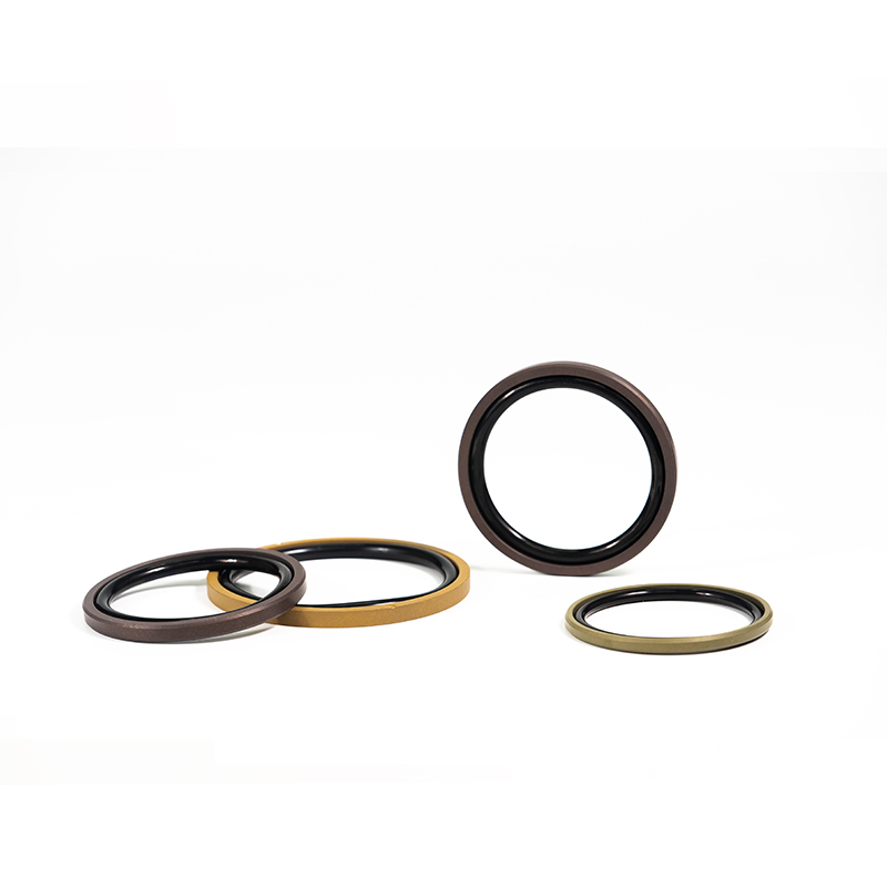 PTFE Piston Seals