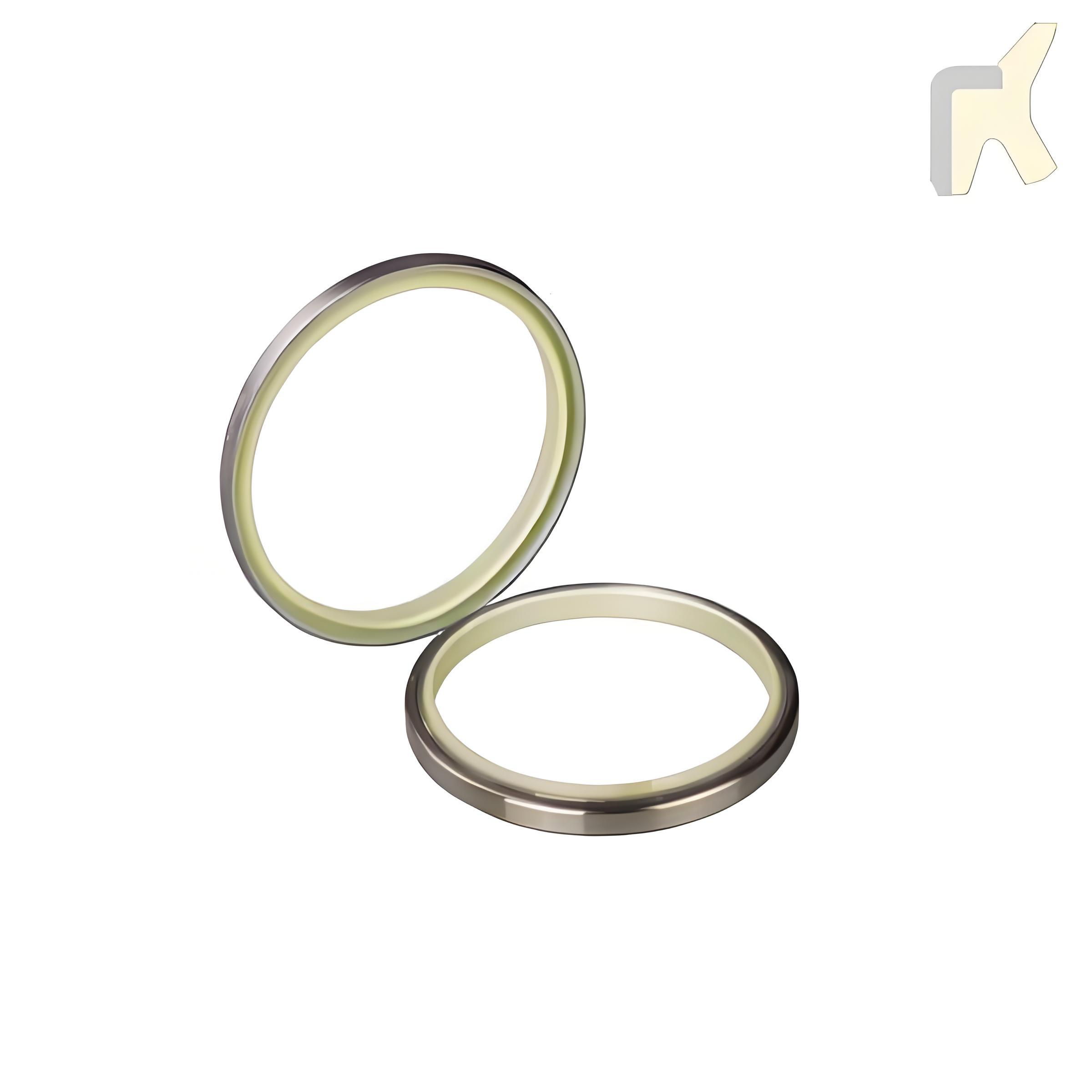 Rod Wiper Seal