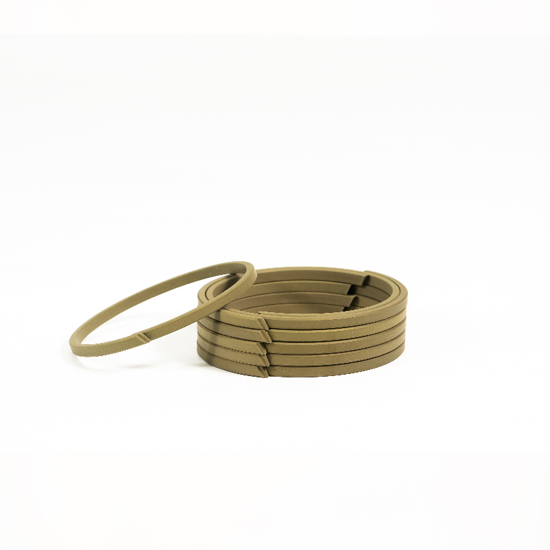 Ptfe Guide Rings/Slide Rings